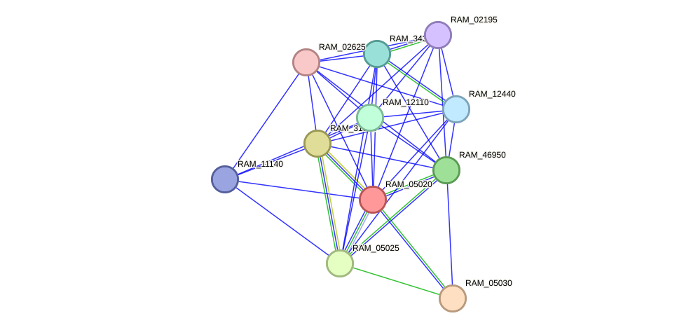 STRING protein interaction network
