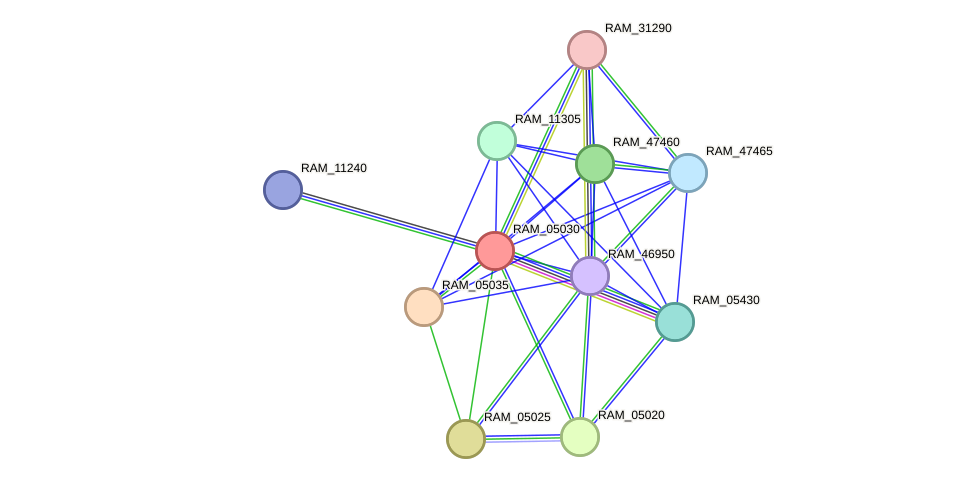 STRING protein interaction network