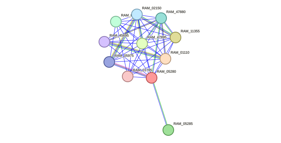 STRING protein interaction network