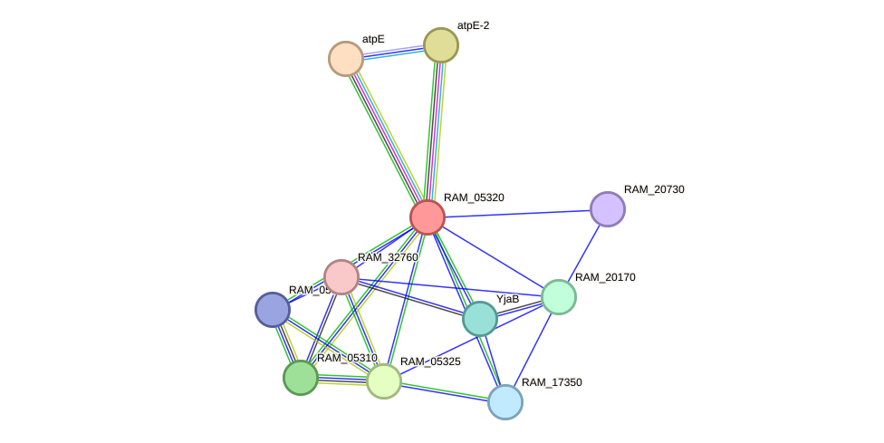 STRING protein interaction network