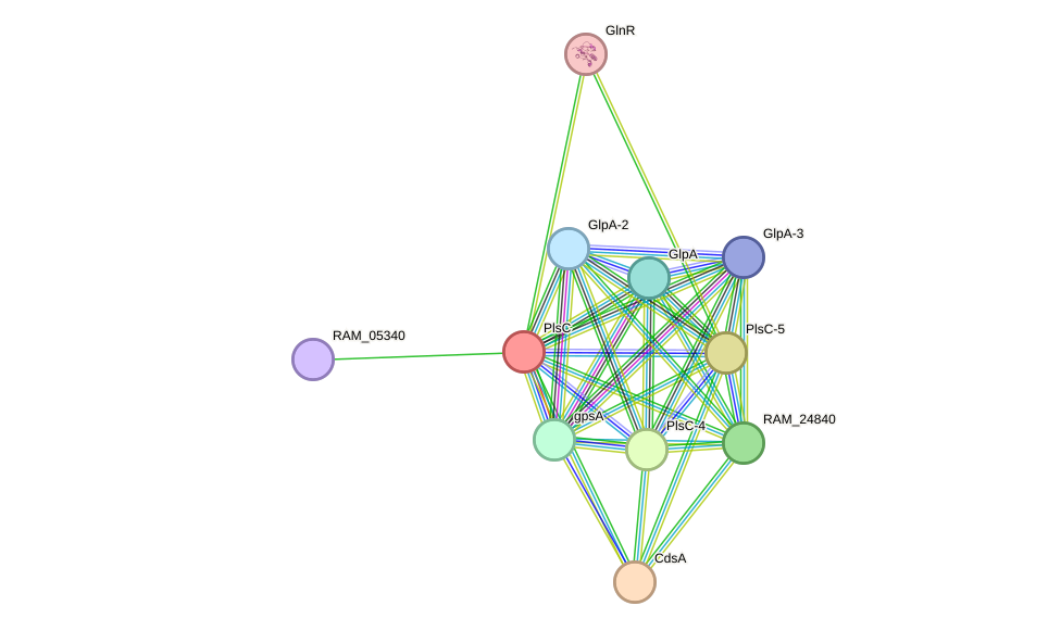 STRING protein interaction network