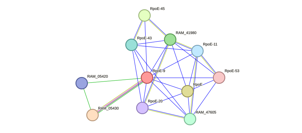 STRING protein interaction network