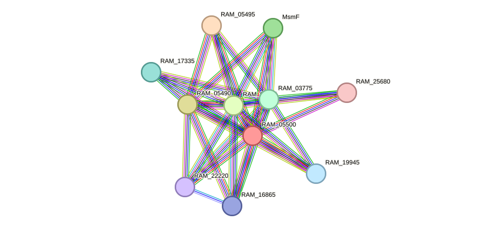 STRING protein interaction network