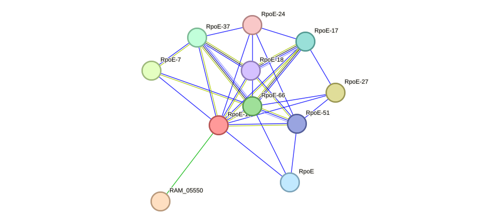 STRING protein interaction network