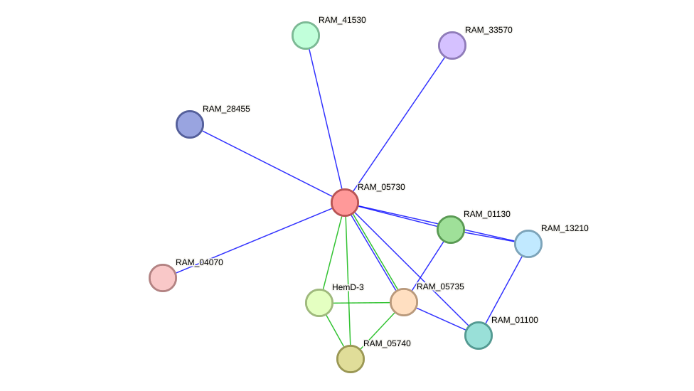 STRING protein interaction network