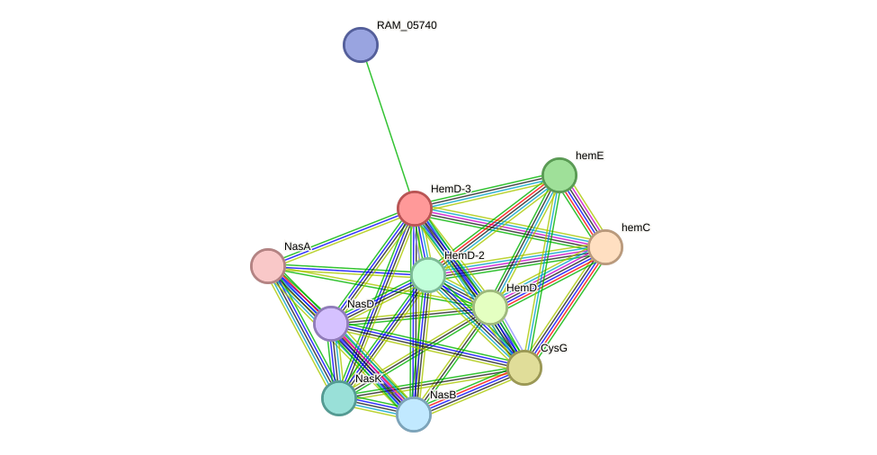 STRING protein interaction network