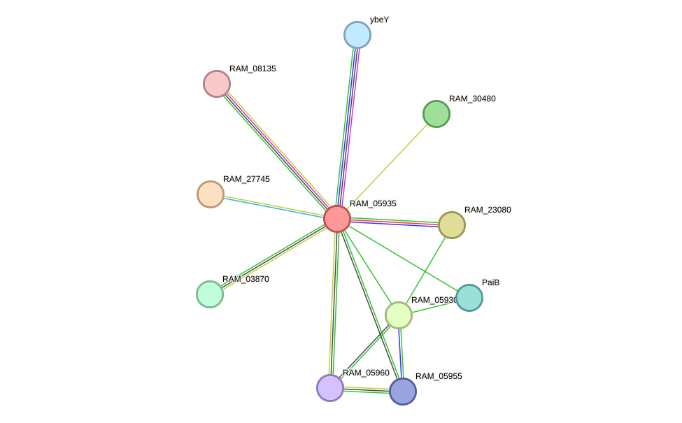 STRING protein interaction network