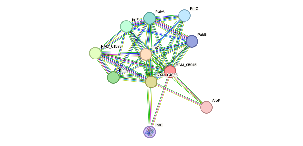 STRING protein interaction network