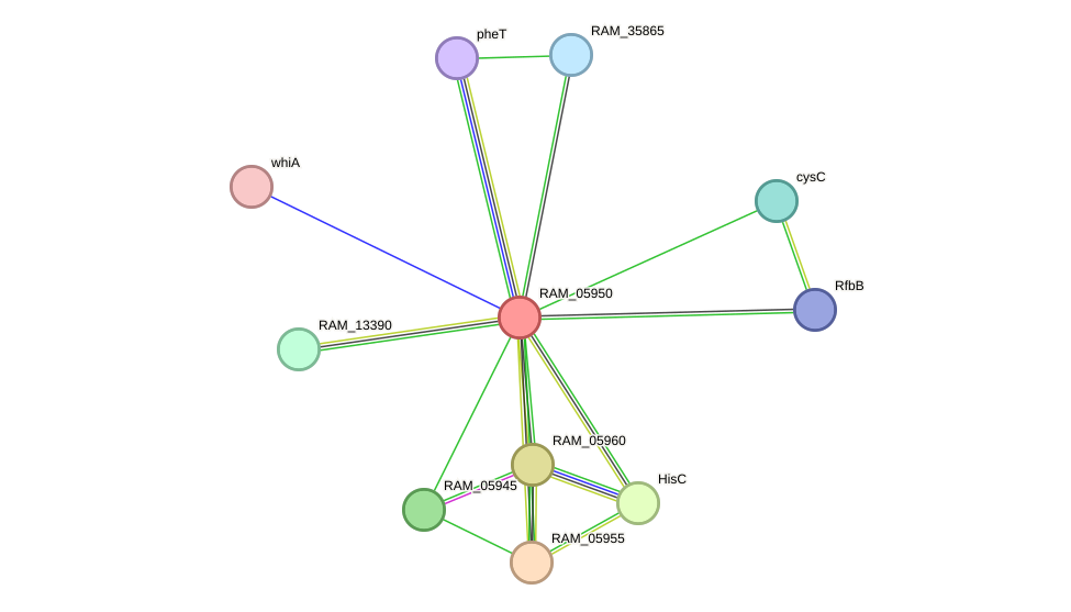 STRING protein interaction network