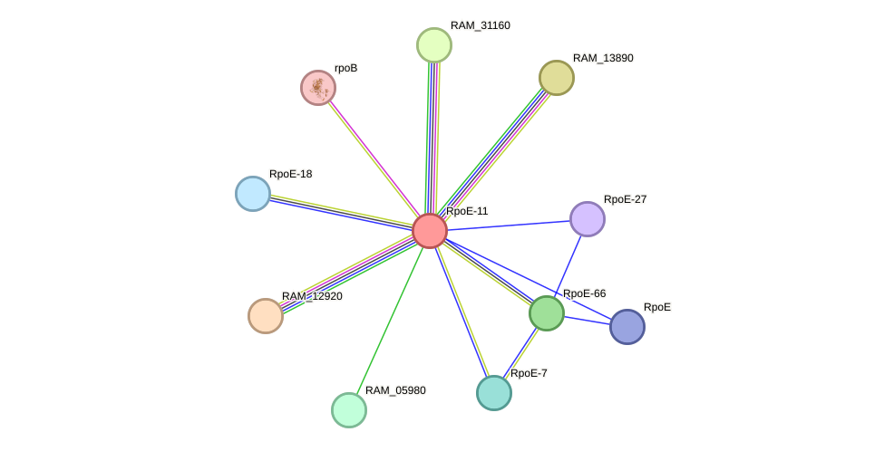 STRING protein interaction network