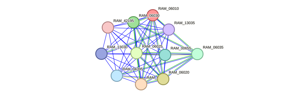 STRING protein interaction network