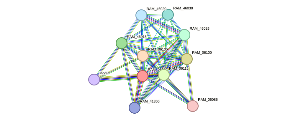 STRING protein interaction network