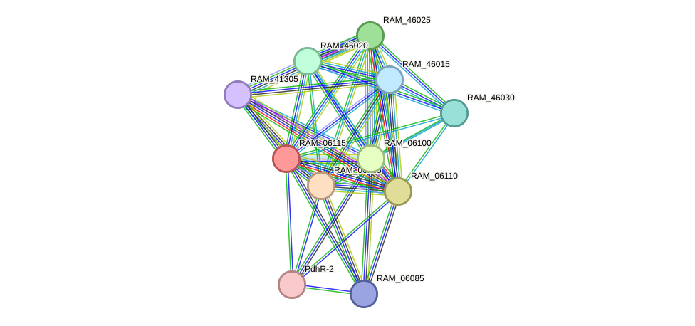 STRING protein interaction network
