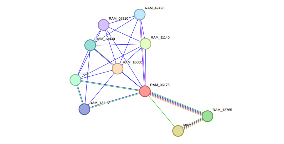 STRING protein interaction network