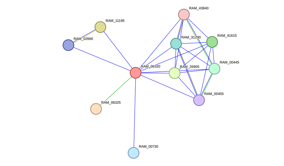 STRING protein interaction network