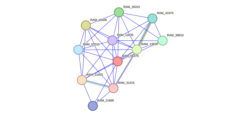 STRING protein interaction network