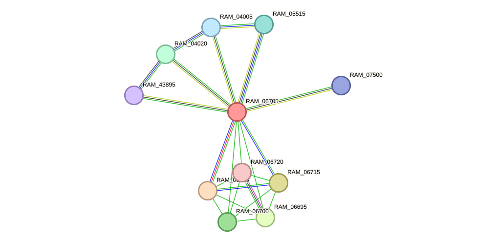 STRING protein interaction network