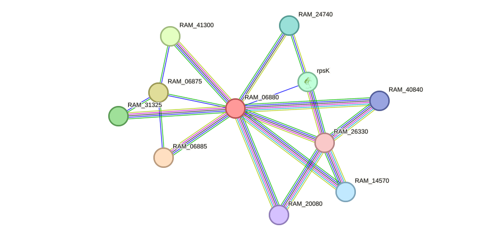 STRING protein interaction network