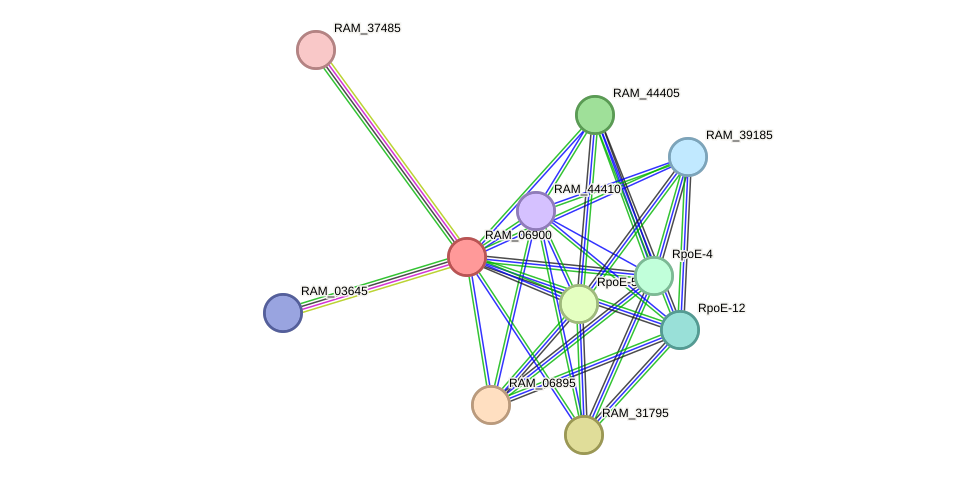 STRING protein interaction network
