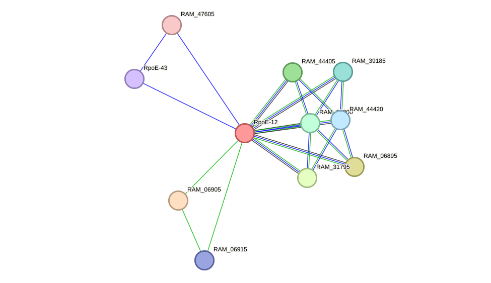 STRING protein interaction network