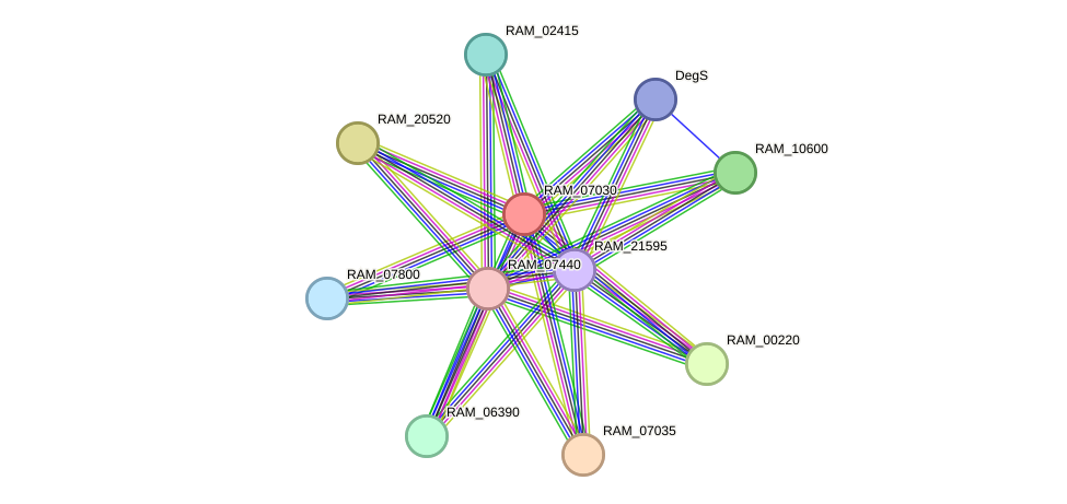 STRING protein interaction network