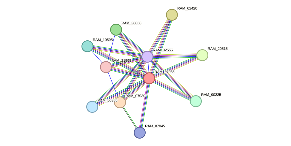 STRING protein interaction network