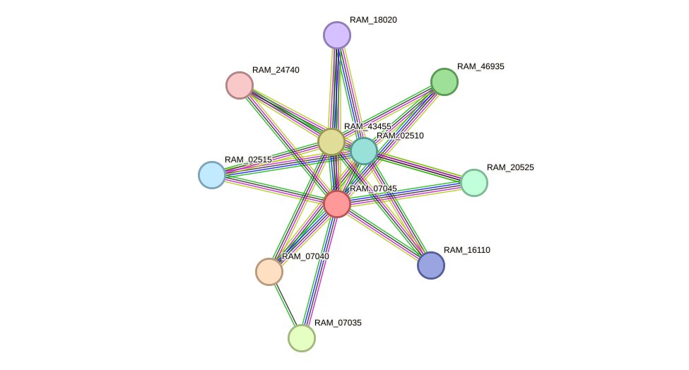 STRING protein interaction network