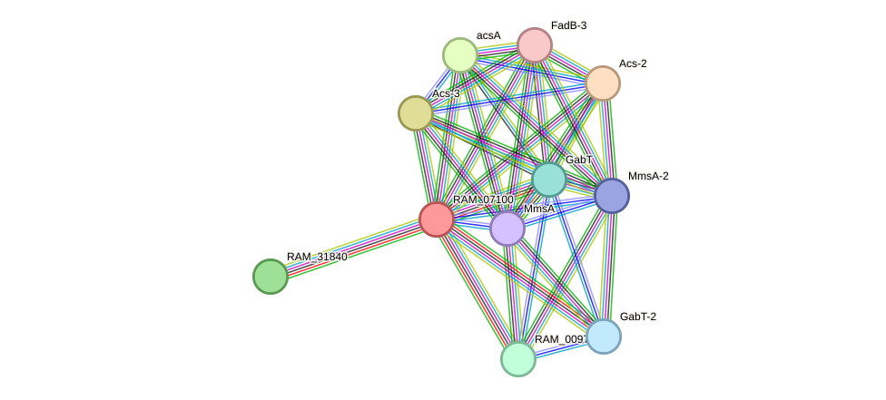 STRING protein interaction network