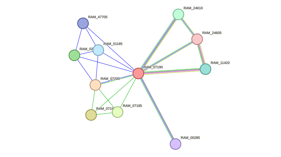 STRING protein interaction network