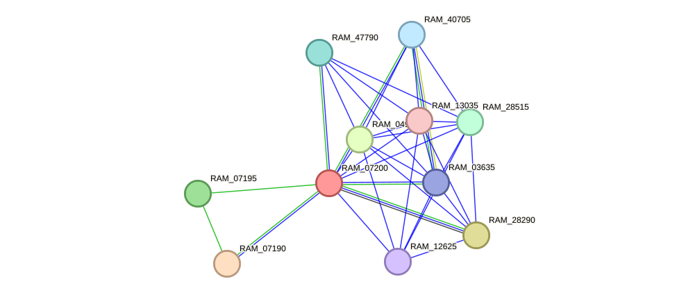 STRING protein interaction network
