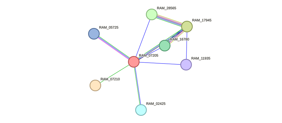 STRING protein interaction network