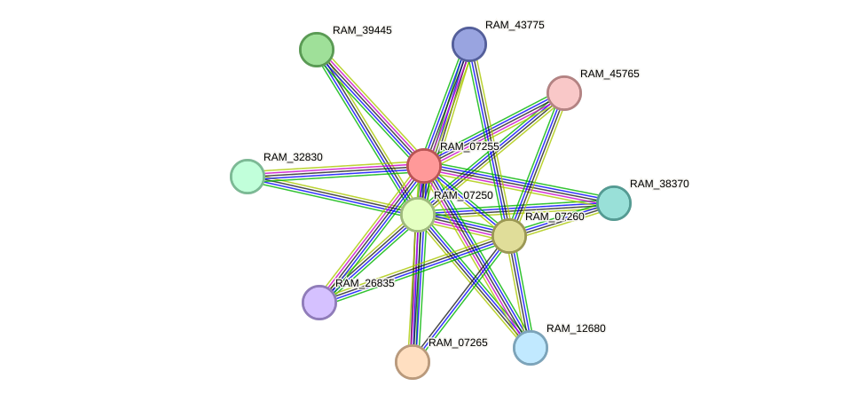 STRING protein interaction network