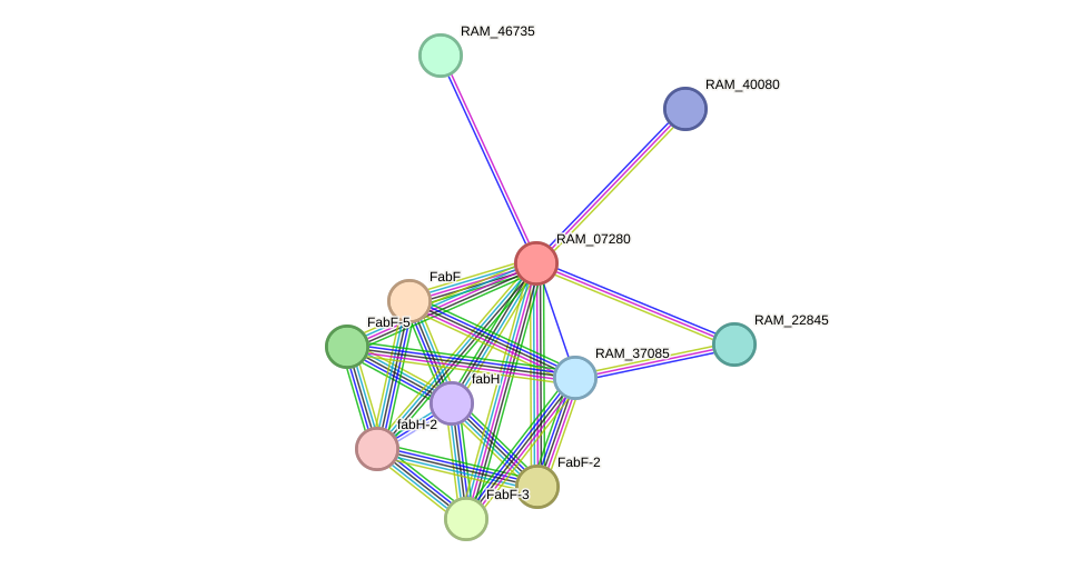 STRING protein interaction network