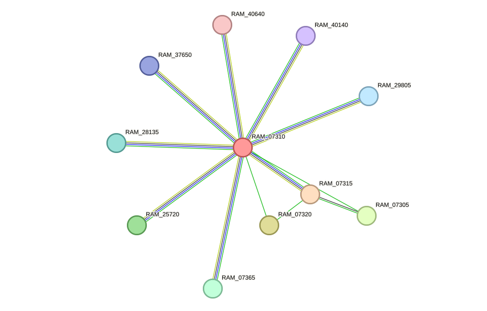 STRING protein interaction network