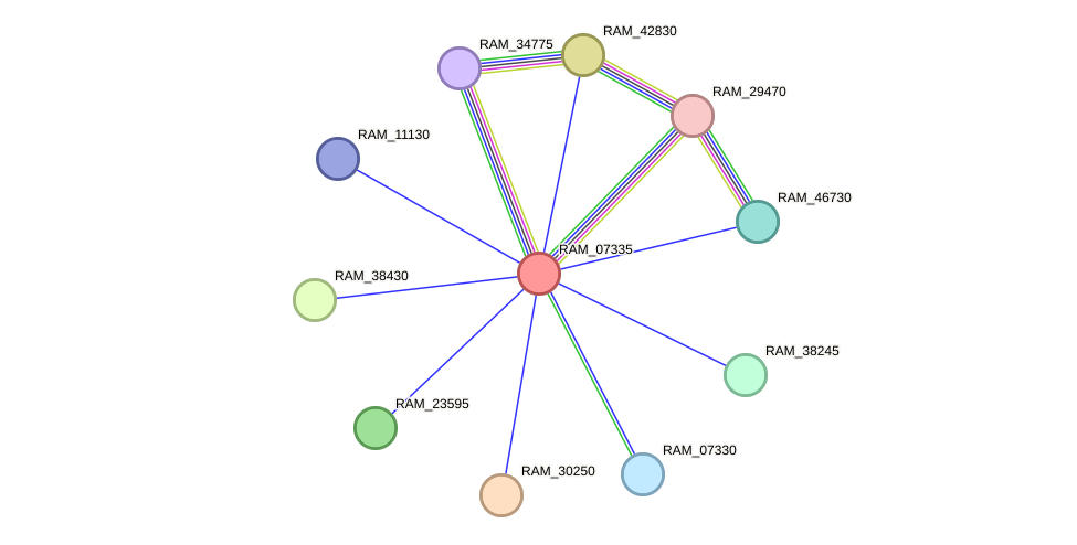 STRING protein interaction network