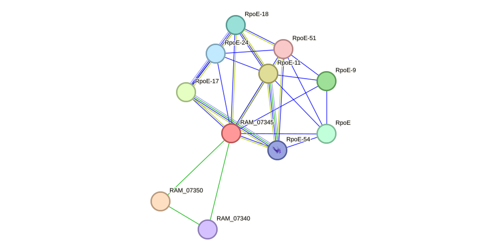 STRING protein interaction network