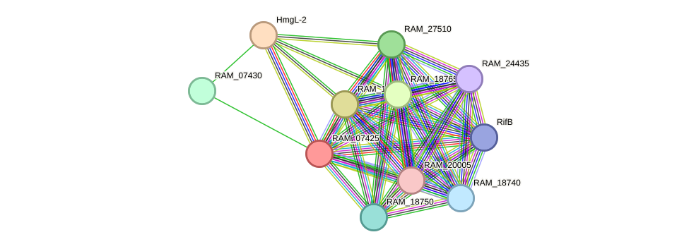 STRING protein interaction network