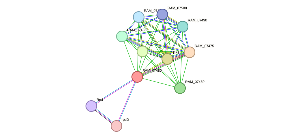 STRING protein interaction network