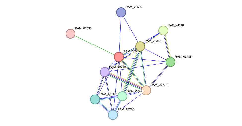STRING protein interaction network