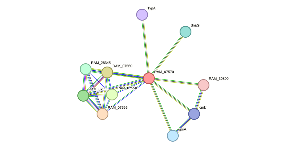 STRING protein interaction network