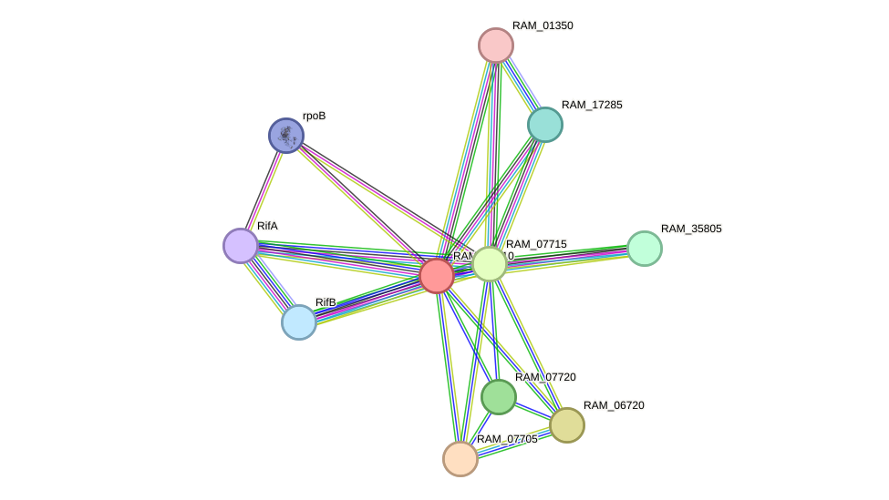 STRING protein interaction network