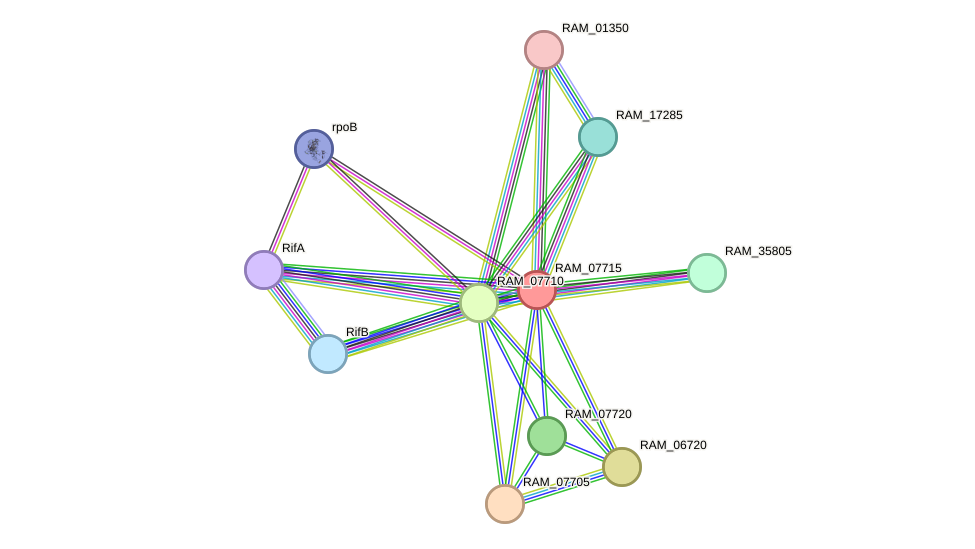 STRING protein interaction network