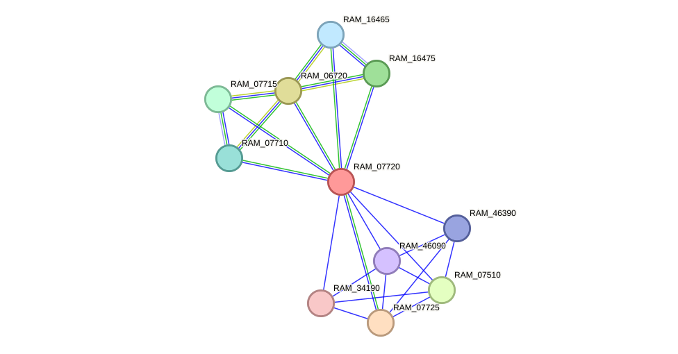 STRING protein interaction network