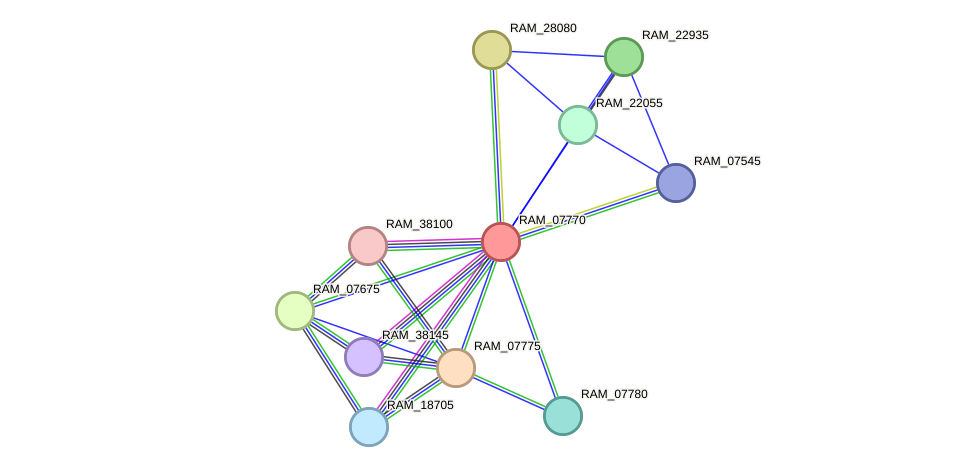 STRING protein interaction network