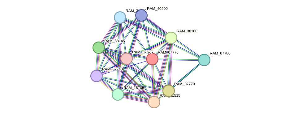 STRING protein interaction network