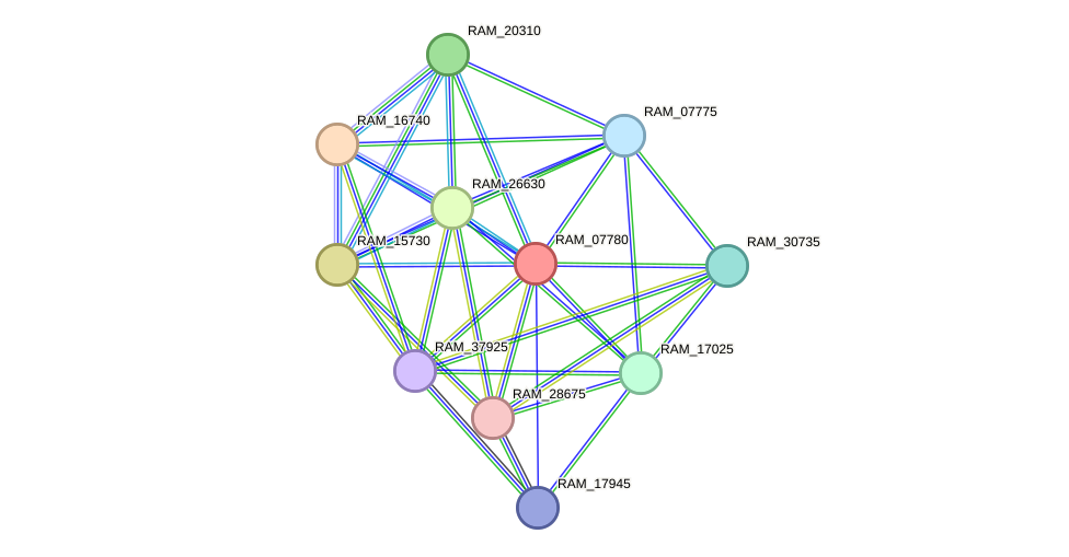 STRING protein interaction network