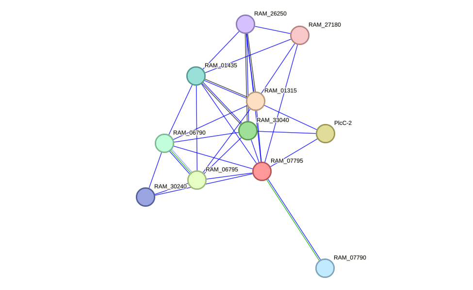 STRING protein interaction network