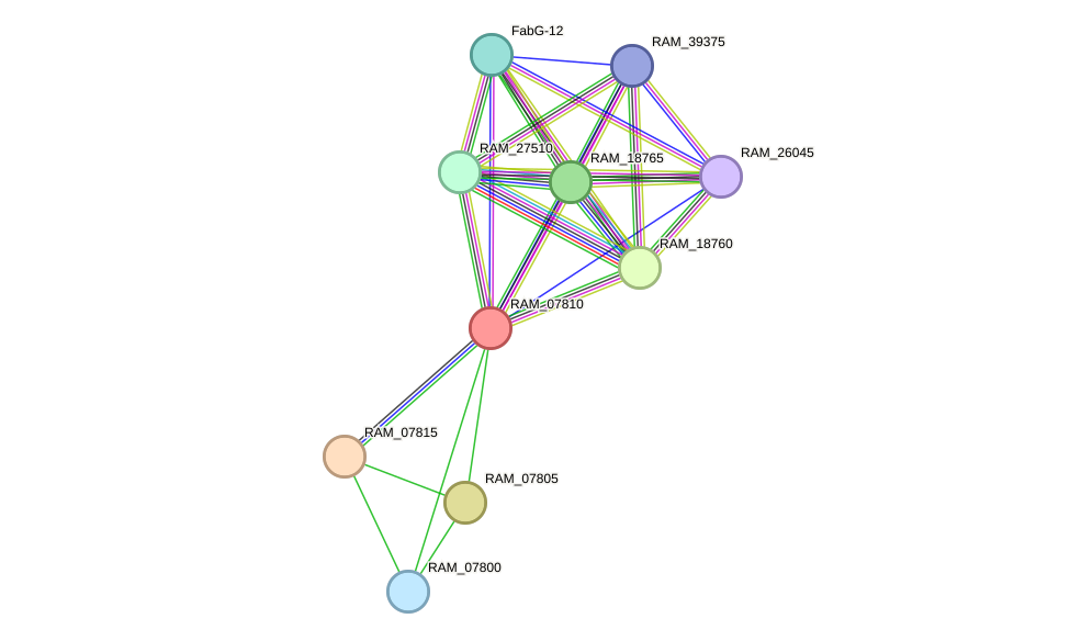 STRING protein interaction network