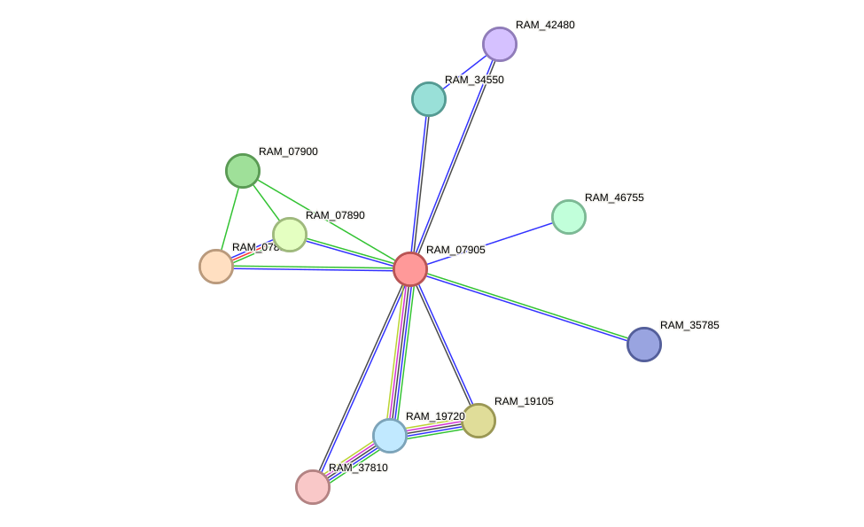 STRING protein interaction network
