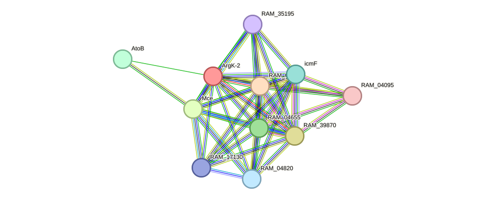 STRING protein interaction network